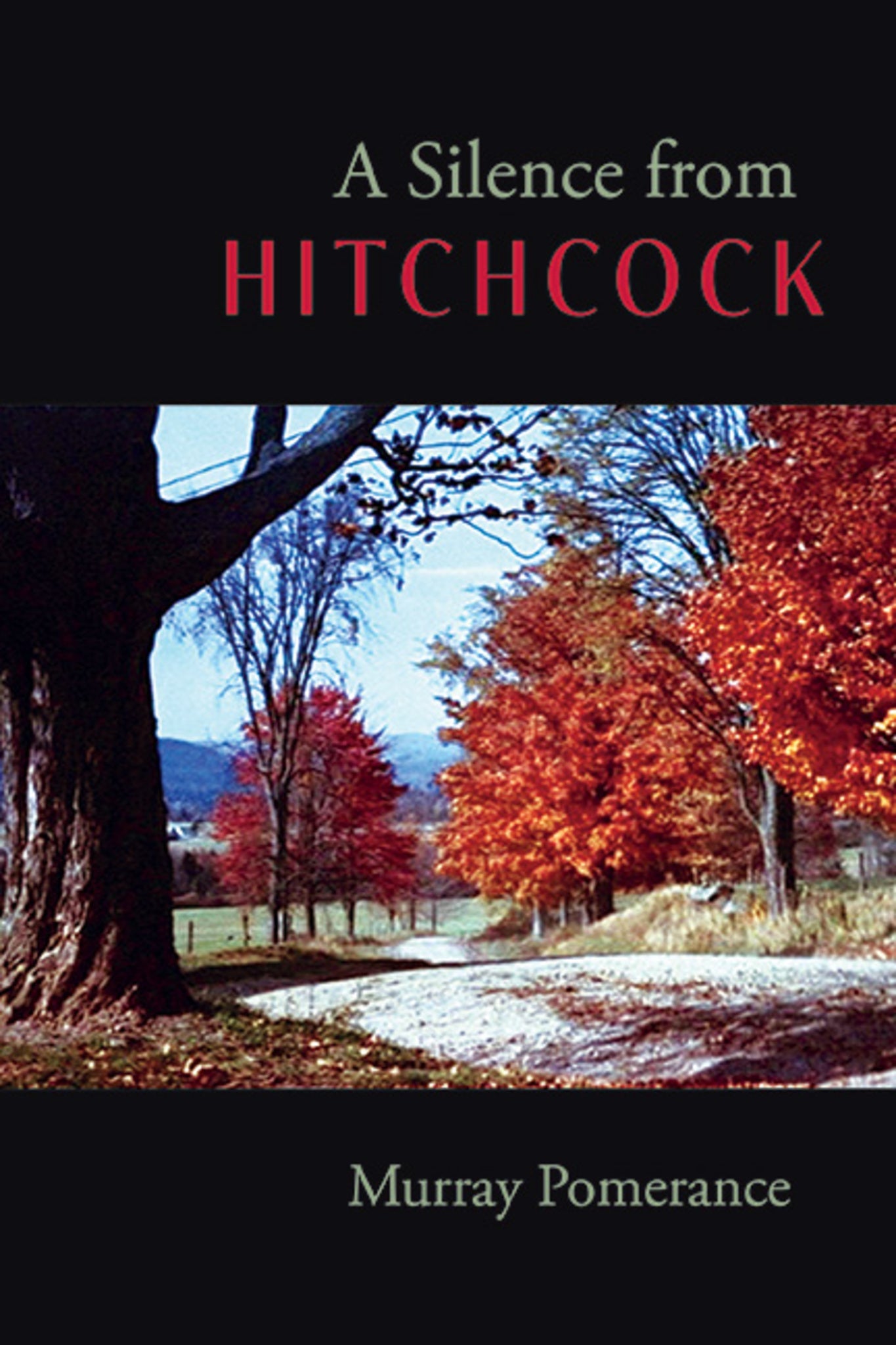 Cover image for A Silence from Hitchcock ISBN 9781438491882